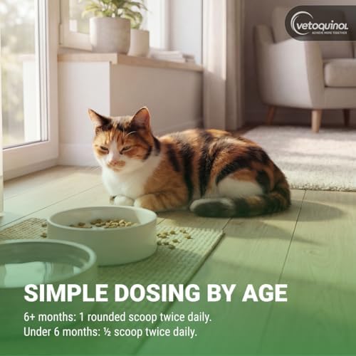 Vetoquinol Viralys - Lysine Supplement for Cats & Kittens - Supports Eye Wellness, Respiratory Health & Immune Strength - Flavored Oral Powder for Easy Feeding & Daily Use - 100 Grams