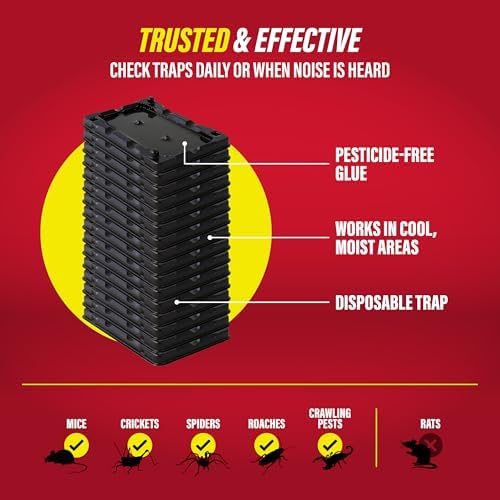 Catchmaster-16 Mouse & Insect Glue Traps, Heavy-Duty Pesticide-Free Sticky Mouse Traps Indoor for Home, Used by the PROs