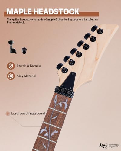 Leo Jaymz DIY Electric Guitar Kits in IBZ Style - Mahogany Body and Maple Neck - All Components Included (7V)