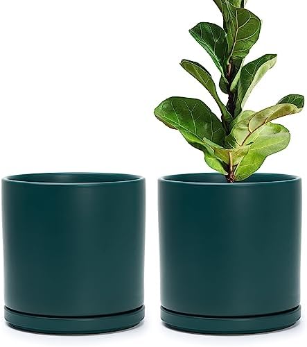 D'vine Dev 2-Pack Ceramic Pots with Saucers, White/Grey, 4.7 in, 94-V-B-6
