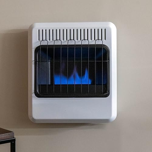 Mr. Heater 20,000 BTU Vent Free Blue Flame Dual Fuel Heater