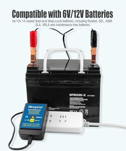 Heagstat HEAG020 Trickle Battery Charger, 12V 2000mA Battery Maintainer