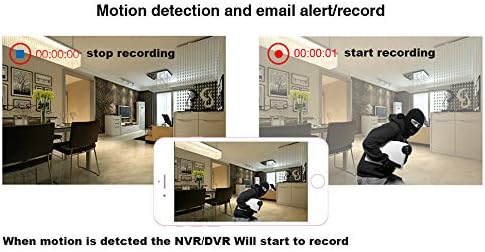 4CH 1080N Hybrid 5-in-1 AHD DVR (1080P NVR+1080N AHD+960H Analog+TVI+CVI) Standalone DVR CCTV Surveillance Security System Video Recorder Motion Detection， Hard Drive not Included