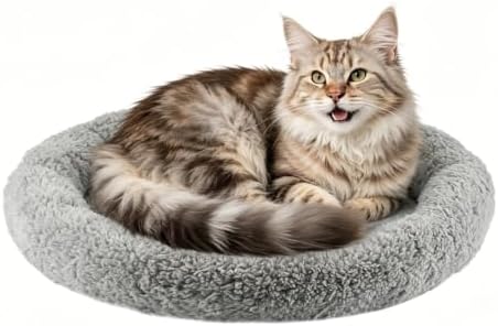 LESYPET Cat Bed for Indoor Cats, Soft Cat Cushion with Cat Pillow Around, Rectangle Kitten Pad Small Bed for Window Sill, 15'' x 10''