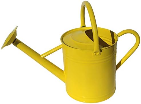 Gardener's Select AW3005PPR Watering Can, Red, 7 L