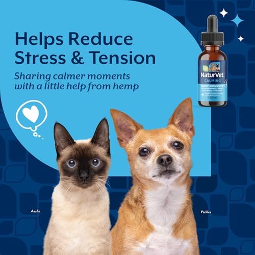 NaturVet Quiet Moments Plus Hemp Calming Drops for Cats & Dogs - 1 Oz | Calming Aid for Dogs & Cats - Helps Reduce Stress & Promote Relaxation with