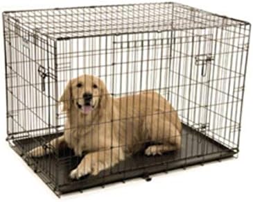 Precision Pet Products Two Door Provalue Wire Dog Crate, 24 Inch, For Pets 15-30 lbs, With 5-Point Locking System