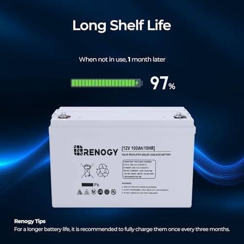Renogy Deep Cycle AGM 12 Volt 100Ah Battery, 3% Self-Discharge Rate, 1100A Max Discharge Current, Safe Charge Appliances for RV, Camping, Cabin