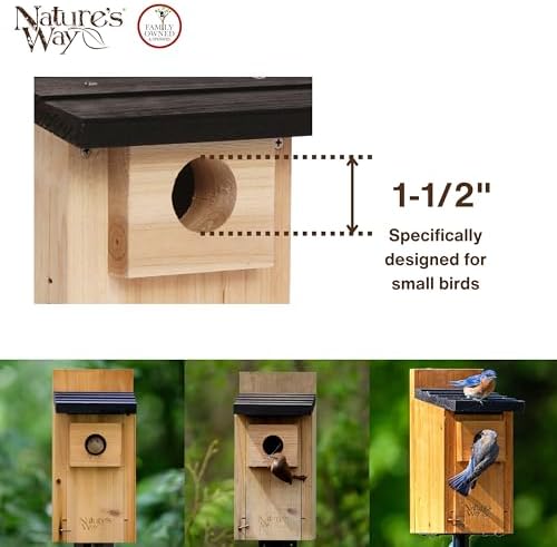 Wild Wings WWCH3 Cedar Blue Bird Box House