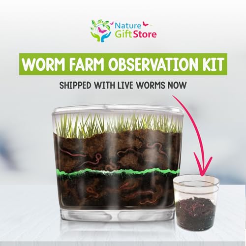 Worm Farm for Kids Kit with 20 Live Composting Worms, All-in-One Bundle | Watch composting in action with this complete kit with live worms included, all-in-one bundled engaging science project