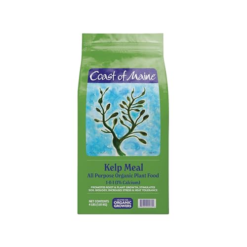 Coast of Maine Kelp Meal – Organic Plant Food