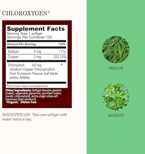 Herbs Etc. ChlorOxygen Chlorophyll Concentrate Softgels - High-Potency Chlorophyll for Detoxification Support - Deodorizing - Skin, Gut & Energy Support - 60 Count (60 Servings)