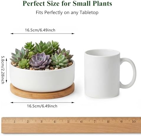 ZOUTOG 2 Pack 6" Ceramic Succulent Pots, White Planters with Drainage Tray
