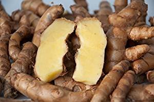 White Turmeric- Zedoary /Thai White Kha-Mint Live Plant