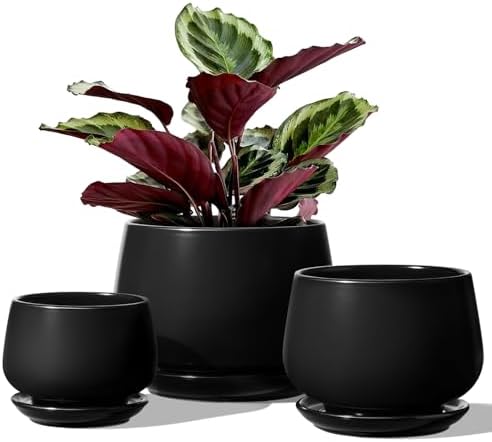 LE TAUCI Plant Pots, 4.1+5.1+6.5 inch, Set of 3, Ceramic Planters with Drainage Hole and Saucer, Indoor Flower Pot with Hole Mesh Pad, Gifts for Mom