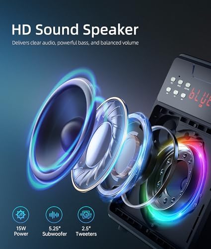 Karaoke Machine for Adults, Portable Bluetooth Speaker with 2 Wireless Microphones and Lights Show, Karaoke Speaker with Bass & Treble, Supports for TWS,USB,FM,REC,AUX in,TF Card for Party/Meeting