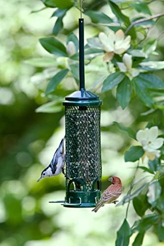 Squirrel Buster Mini Squirrel-Proof Bird Feeder for Wild Birds – 4 Metal Perches, 1 lb Seed Capacity, Chew-Proof Design, Lifetime Care