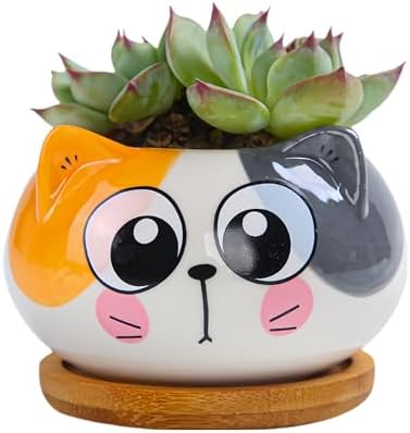 Cuteforyou Succulent Pots,Cute Animal Shaped Cartoon Ceramic Succulent Cactus Flower Planters -Plant Not Included，Cat