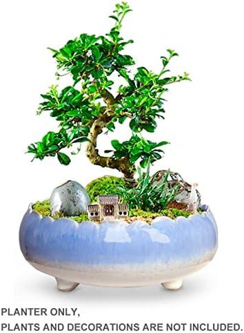 Dahlia 8.3'' Inch Large Shallow Drip Glazed Ceramic Planter/Succulent Pot/Plant Pot, Green