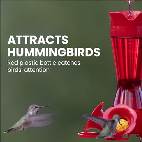 Perky-Pet Red Pinch-Waist Plastic Hummingbird Feeder, 8 oz Capacity | Built-in Bee Guards and Ant Moat for Outdoor Bird Feeding Station and Backyard Wildlife, Hummingbird Feeders for Outdoors