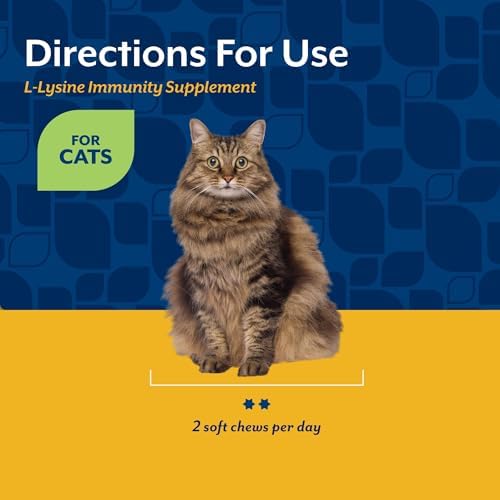 NaturVet L-Lysine Immune Support Plus Antioxidants Cat Supplement - 60 Ct | Support Eye Health, Immune System for Cats, Includes Amino Acids