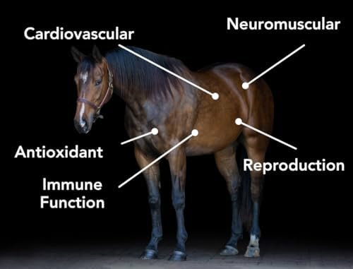MPV Vitamin E 5,000 Pelleted Vitamin E for Horses