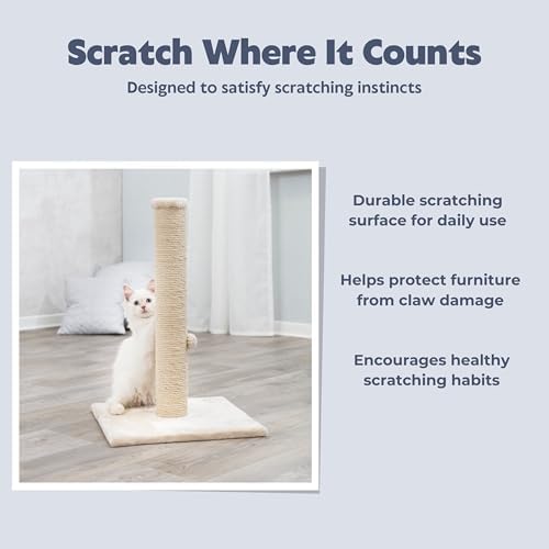 Trixie Parla Cat Scratching Post 24.4 Inch - Cat Scratcher with Soft Fabric Covering Base and Durable Natural Jute Rope - Beige