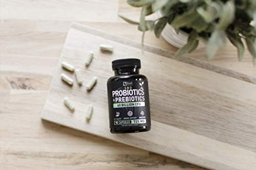 Probiotics and Prebiotics + SBO Probiotics (60 Billion CFU | 90 Capsules) Acidophilus Probiotic w. Saccharomyces Boulardii
