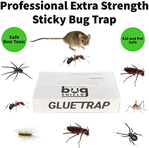 Bug Shield Sticky Glue Traps 72 Glue Boards, All Types of Incets, Spiders, Cockroaches, Ants, Cave Crickets, and More. Professional Strength Glue.