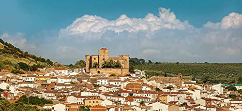 Castillo de Canena Organic Extra Virgin Olive Oil, 500 Milliliters | 16.9 Ounces, Cold Pressed, From Spain, Biodynamic, 100% Environmentally Sustainable, Picual