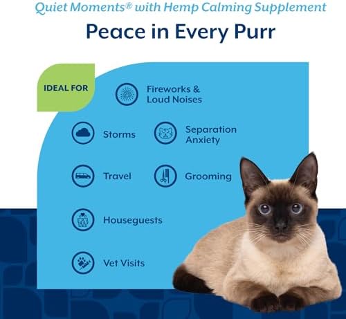 NaturVet Quiet Moments Calming Plus Melatonin Cat Supplement - 50 Count | Calming Aid for Cats - Reduce Stress, Pet Storm Anxiety, Motion Sickness - Great for Grooming, Separation and Travel