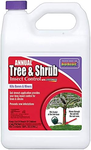 Bonide Annual Tree & Shrub Insect Control with Systemaxx | 32 oz Concentrate, Year Long Protection, Bug Killer