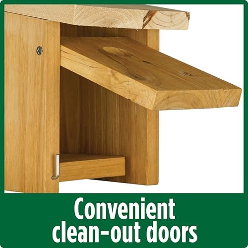 Nature's Way Cedar Box Wren House with Clean-Out Door, Wild Bird House and Outdoor Décor, Brown