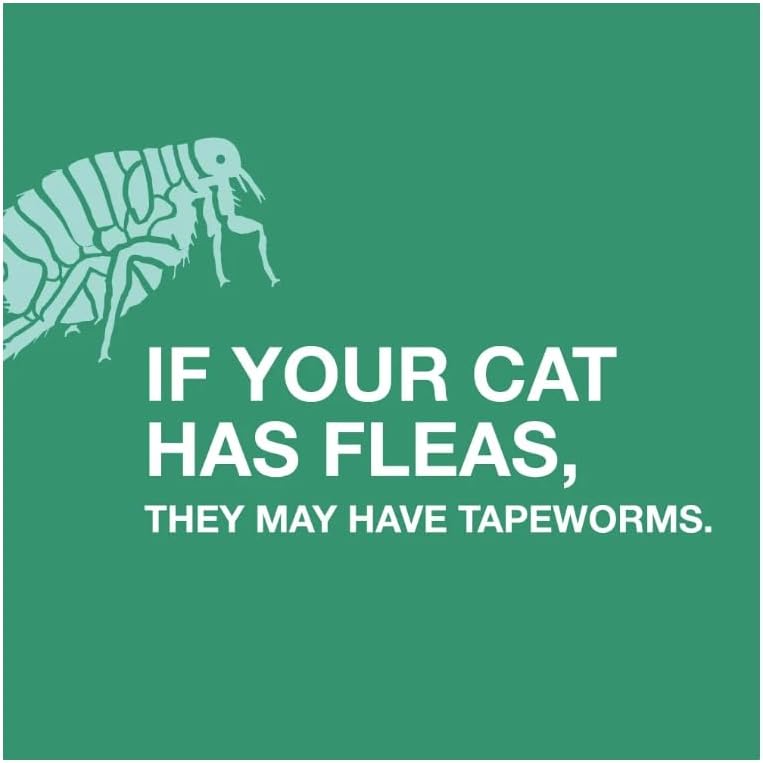 Elanco Tapeworm Dewormer (praziquantel tablets) for Cats and Kittens 6 Weeks and Older, 3-count