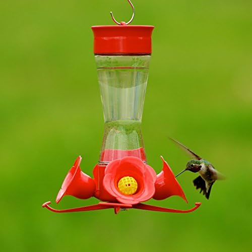 Perky Pet 203CPBN 8 Oz Clear Glass Hummingbird Feeder Set of 2