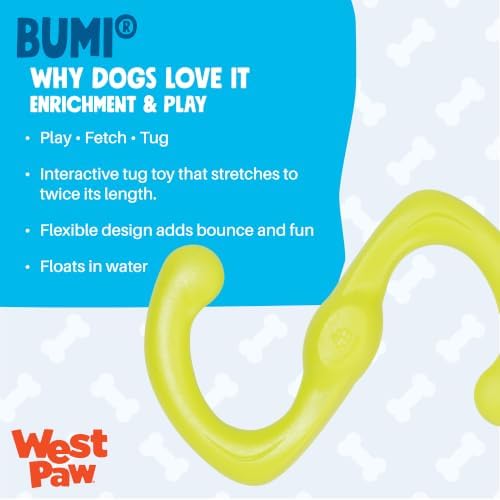 WEST PAW Zogoflex Bumi Dog Tug Toy – S-Shaped, Lightweight Chew Toys for Fetch, Play, Pet Exercise – Tug of War Soft Flinging Squishy Chewy Toy for Dogs – Guaranteed, Latex-Free, Small 8", Aqua Blue