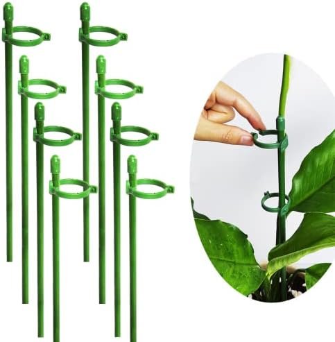 Belit 8 Pack Plant Supports for Small Plants, Garden Flowers Green Plant Support Ring, Planter Support Ring for Schlumbergera, Clivia, Succulents