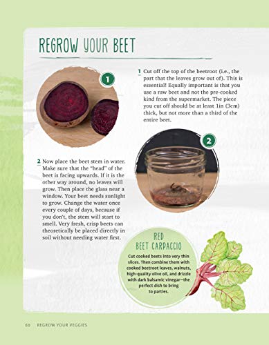 Regrow Your Veggies: Growing Vegetables from Roots, Cuttings, and Scraps (CompanionHouse Books) Sustainable Tips, Troubleshooting