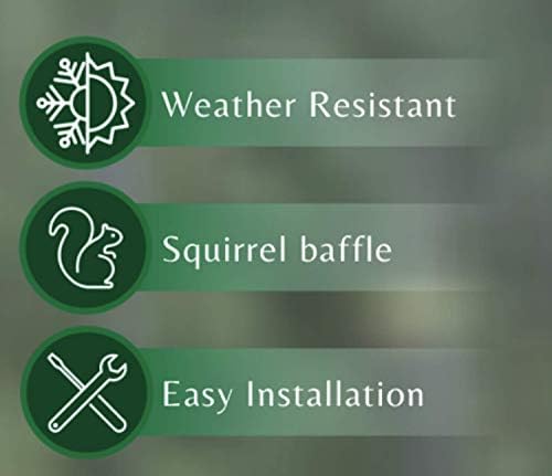 Birds Choice Erva 2 Arm Complete Bird Feeder Pole Set with Squirrel Baffle Steel Bird Feeder Mounting Pole Made in USA | Hangs 2 Feeders at Once