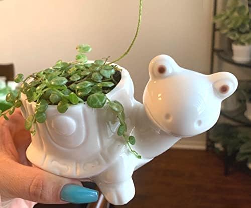 GeLive White Cow Succulent Pot, Small Ceramic Animal Planter with Drainage Hole & Saucer for Cactus, Mini Air Plants, Pencil Holder Brush Organizer, Indoor Home Office Desk Decor, Funny Gift