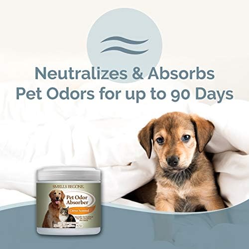 SMELLS BEGONE 15oz Gel Odor Eliminator - Absorb & Remove Tough Odors in Pet Areas, Bathrooms, Basements, Garage, Cars, RVs & Boats - Eliminate Odors Quickly (1-Pack, Pet Calming Rain)