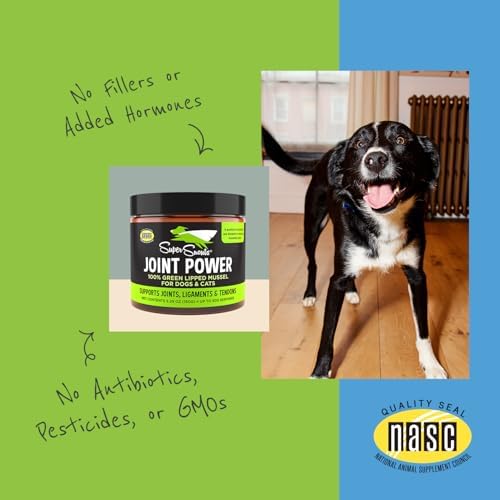 Joint Power Supplement Powder for Dogs & Cats, 2.64 oz Jar | Joint Supplement Powder made with 100% Green Lipped Mussels to Support Joints, Tendons, and Ligaments