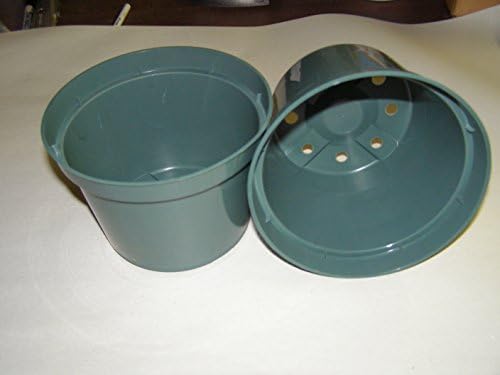 Green Plastic Azalea Pot. 6 in. 25 Pack