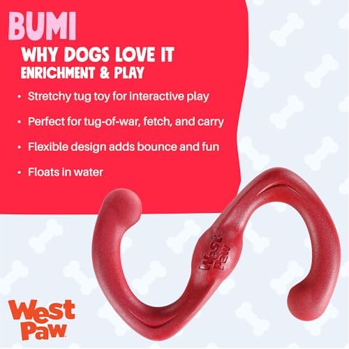 WEST PAW Zogoflex Bumi Dog Tug Toy – S-Shaped, Lightweight Chew Toys for Fetch, Play, Pet Exercise – Tug of War Soft Flinging Squishy Chewy Toy for Dogs – Guaranteed, Latex-Free, Small 8", Aqua Blue