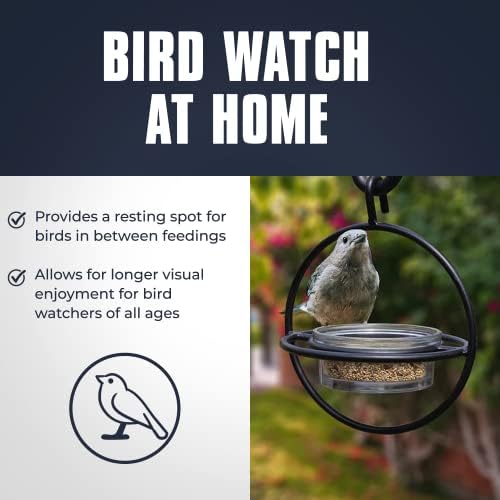 Monarch Abode Hanging Hummingbird Feeders for Outdoors – Single Handcrafted Hanging Glass Hummingbird Feeder with Red Bowl & Perch