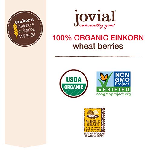 Jovial Einkorn Wheat Berries | 100% Organic Einkorn Wheat Berries | High Protein | Non-GMO | USDA Certified Organic | Product of Italy | 16 oz (12