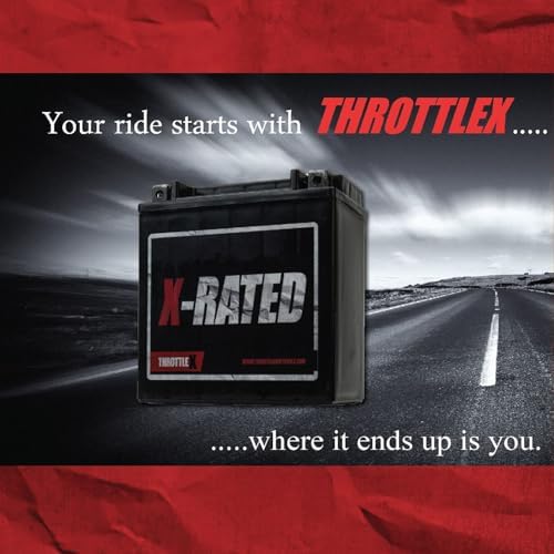 ADX20CH-BS - AGM Replacement Power Sport Battery