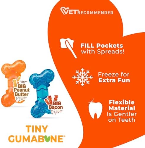 Nylabone Flexi Chew Tiny Gumabone Dog Chew Toys, XX-Small, 2 Count | Peanut butter & bacon flavor, x-small breeds, flexible material, fill with treats