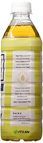 Teas' Tea Unsweetened Jasmine Green Tea 16.9 Ounce (Pack of 12) Organic, Sugar Free, 0 Calories