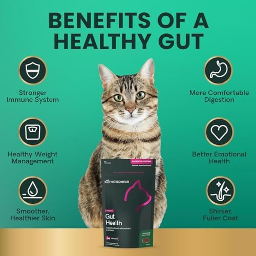 VetriScience Gut Health Chews, Probiotic Everyday Digestive Supplement for Cats, Pet Probiotics for Digestion Support, Gas and Diarrhea